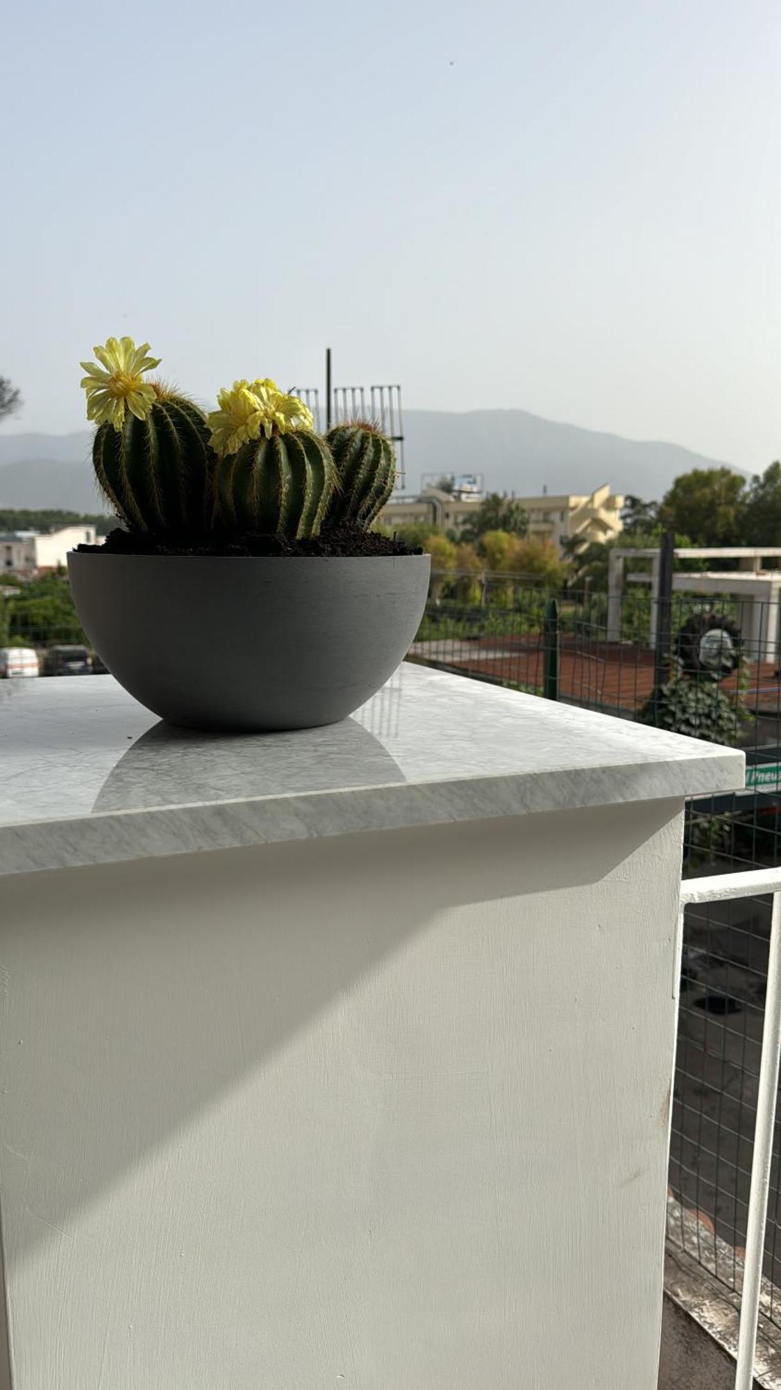 Vesuvius Pompeii Bed & Breakfast Екстериор снимка